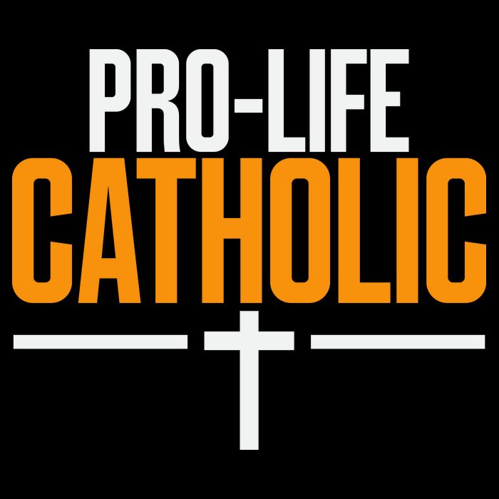 Pro Life Anti Abortion Catholic Flatbill Hat