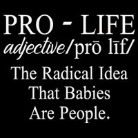 Pro Life Anti Abortion Christian Bag