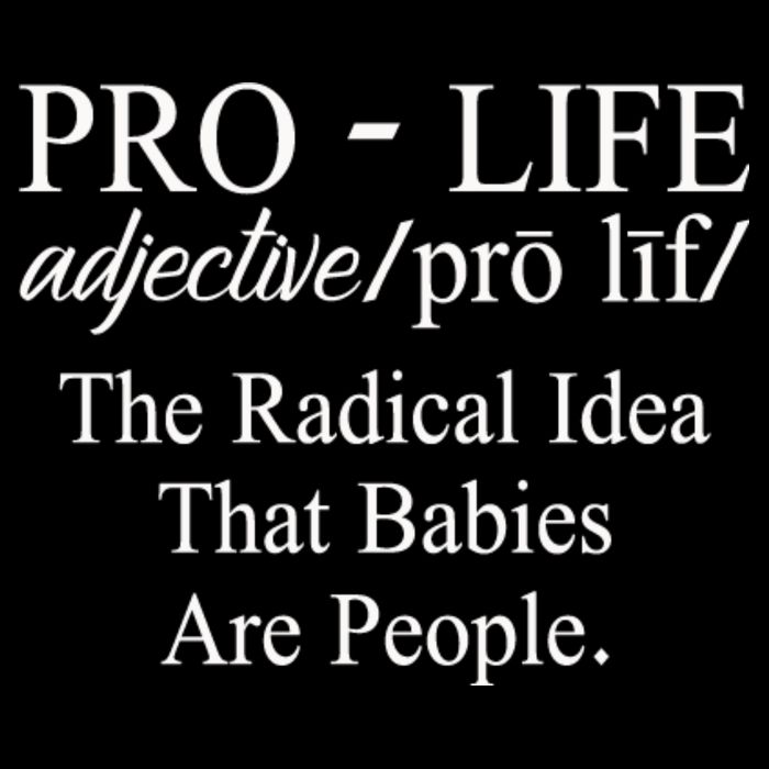 Pro Life Anti Abortion Christian Bag