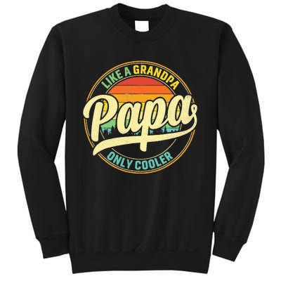 PAPA Like A Grandpa ONLY COOLER Funny Dad Papa Definition Sweatshirt