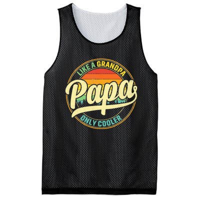 PAPA Like A Grandpa ONLY COOLER Funny Dad Papa Definition Mesh Reversible Basketball Jersey Tank