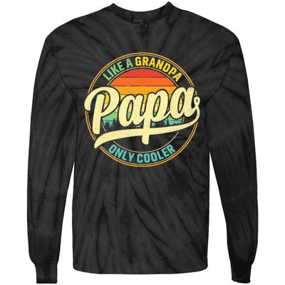 PAPA Like A Grandpa ONLY COOLER Funny Dad Papa Definition Tie-Dye Long Sleeve Shirt