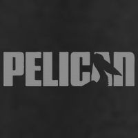 Pelican Lover Apparel Pelican 7 Panel Mesh Trucker Snapback Hat