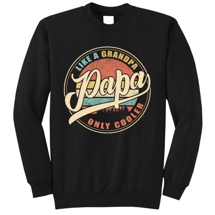 Papa Like A Grandpa Only Cooler Funny Dad Papa Definition Sweatshirt