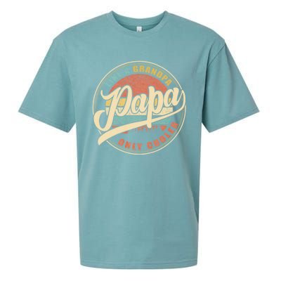 Papa Like A Grandpa Only Cooler Funny Dad Papa Definition Sueded Cloud Jersey T-Shirt