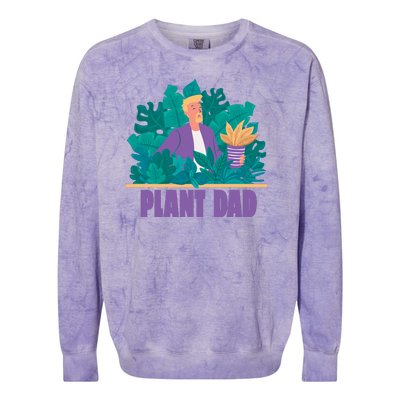 Plant Dad Colorblast Crewneck Sweatshirt