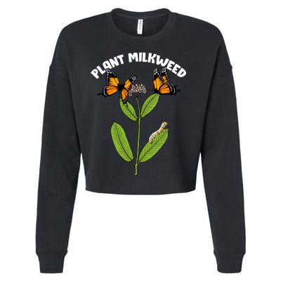 Plant Milkweed Cropped Pullover Crew