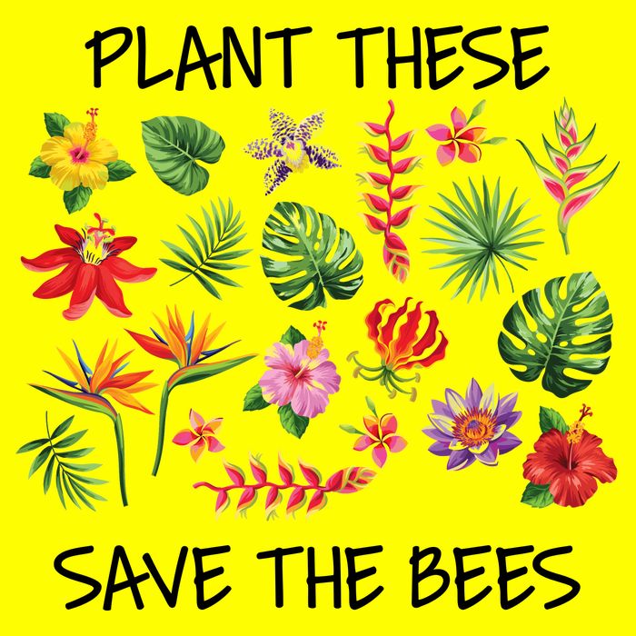 Plant These Save Bees Button