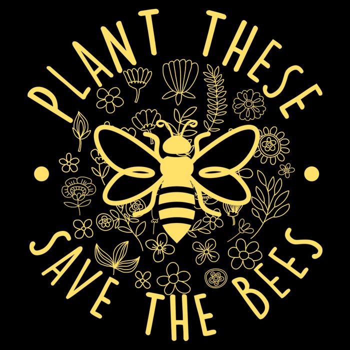 Plant These Save The Bees Wool Snapback Cap