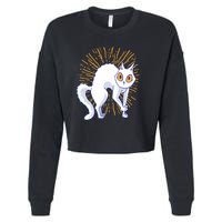Playful Cat Cropped Pullover Crew