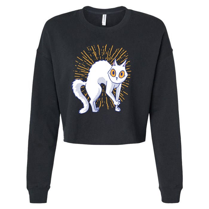 Playful Cat Cropped Pullover Crew