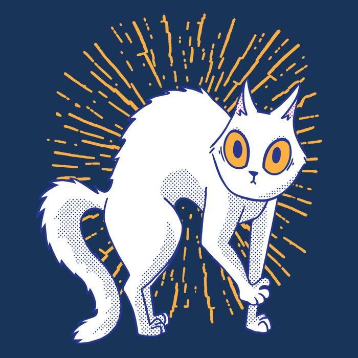 Playful Cat Hoodie
