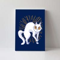 Playful Cat Canvas