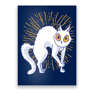 Playful Cat Poster