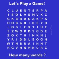 Puzzle Lovers Conversation Starter Word Fun and Games  Poster