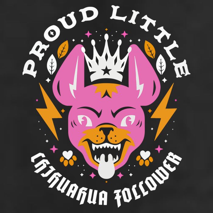Proud Little Chihuahua Follower Vanderpump Rules Premium Pullover Hoodie
