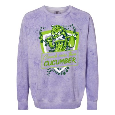 Pickle Lovers Cute Gift Colorblast Crewneck Sweatshirt