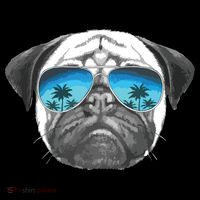 Pug Lover Cute Pug Funny Pug Owner Pug Stripe Pom Pom Beanie