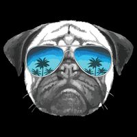 Pug Lover Cute Pug Funny Pug Owner Pug Flat Bill Trucker Hat
