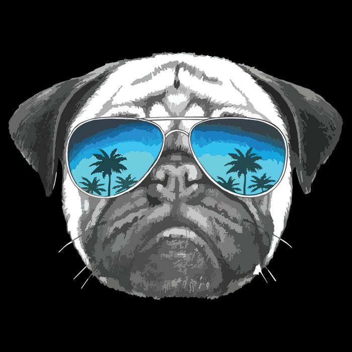 Pug Lover Cute Pug Funny Pug Owner Pug Flat Bill Trucker Hat