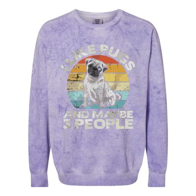 Pug Lover Dog Lover Gift Retro Pug Colorblast Crewneck Sweatshirt