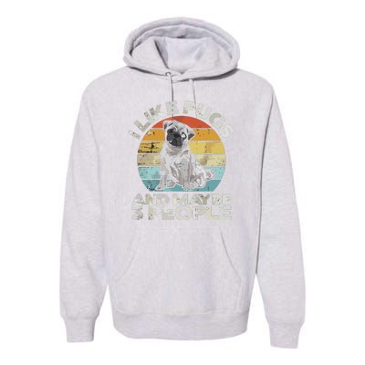 Pug Lover Dog Lover Gift Retro Pug Premium Hoodie