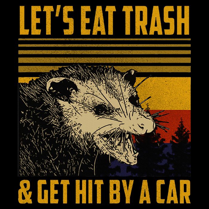 Possum LetS Eat Trash And Get Hit By A Car Backpack