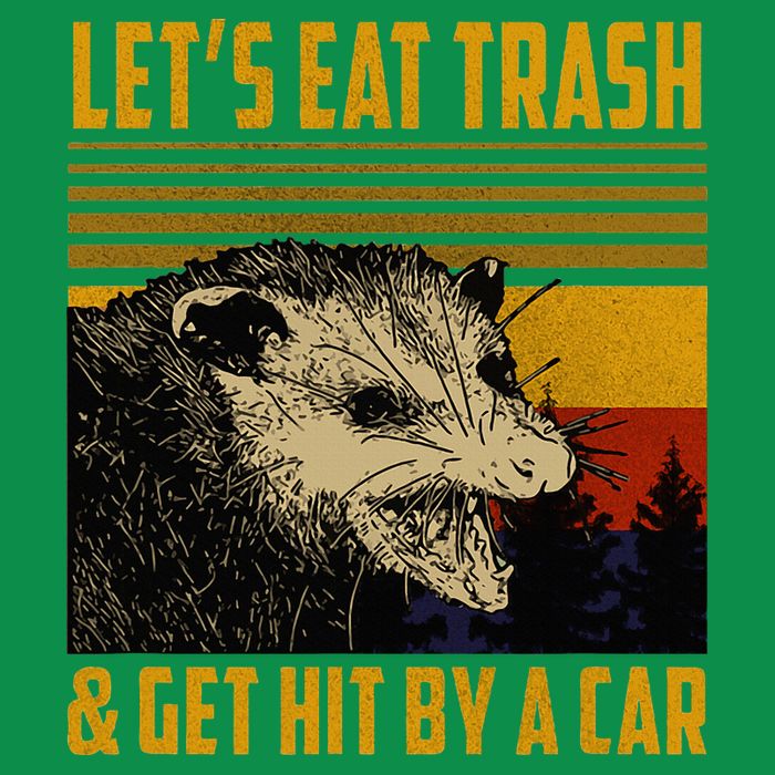 Possum LetS Eat Trash And Get Hit By A Car Tall T-Shirt
