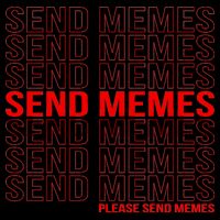 Please Send Memes Tall Hoodie
