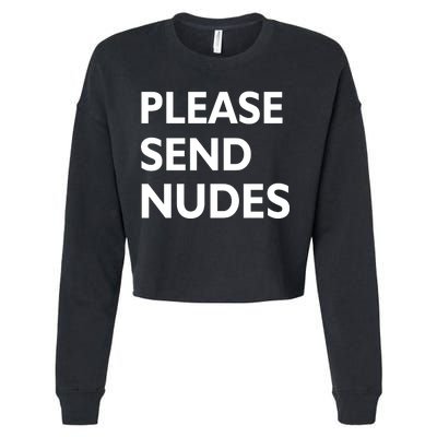 Please Send Nudes Cropped Pullover Crew