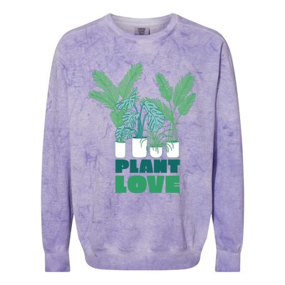 Plant Lover Fern Monstera Gift Colorblast Crewneck Sweatshirt