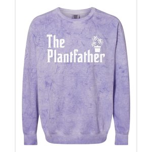 Plant Lover Gardener Monstera Succulent Colorblast Crewneck Sweatshirt