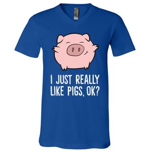 Pigs Lover I Just Really Like Pigs Ok? Cute Pigs Funny Gift V-Neck T-Shirt