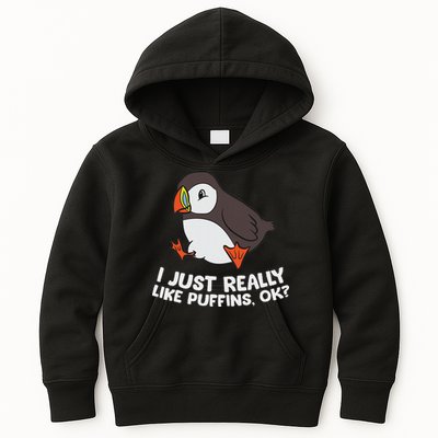 Puffin Lover I Just Really Like Puffins Ok Kids Hoodie