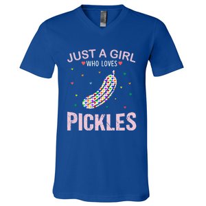 Pickles Lover Just A Who Loves Pickles Cute Gift V-Neck T-Shirt