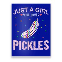 Pickles Lover Just A Who Loves Pickles Cute Gift Poster