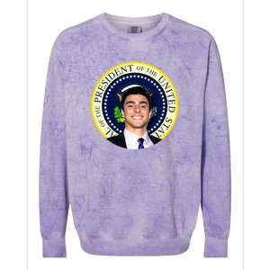 Project Luigi Mangione 2028 Potus Seal Colorblast Crewneck Sweatshirt