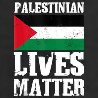 Palestinian Lives Matter Freedom Peace Palestine Flag Crop Fleece Hoodie
