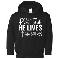 Plot Twist He Lives Luke 24:23 Toddler Hoodie