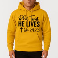 Plot Twist He Lives Luke 24:23 Hoodie