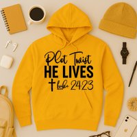 Plot Twist He Lives Luke 24:23 Hoodie