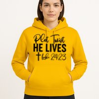 Plot Twist He Lives Luke 24:23 Hoodie