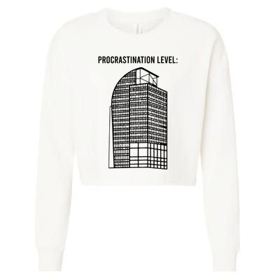 Procrastination Level Cropped Pullover Crew