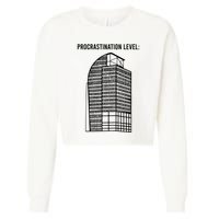 Procrastination Level Cropped Pullover Crew