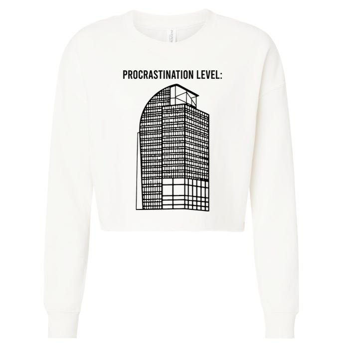 Procrastination Level Cropped Pullover Crew