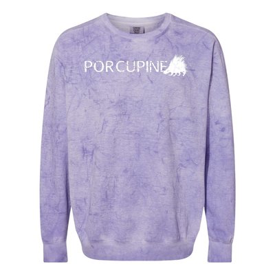 Porcupine Logo Colorblast Crewneck Sweatshirt