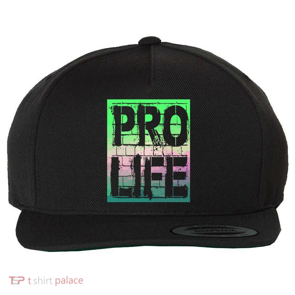 Pro Life Wool Snapback Cap