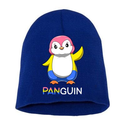 Pansexual Lgbtq Penguin A Colorful Pansexual Animal Gift Short Acrylic Beanie