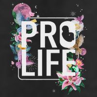 Pro Life Prolife Pro God Choose Life Conservative Christian 7 Panel Mesh Trucker Snapback Hat