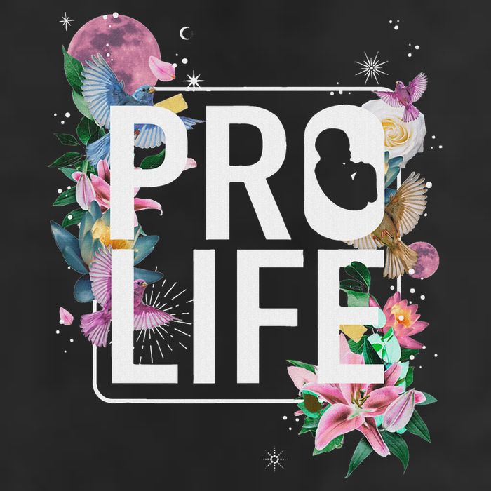 Pro Life Prolife Pro God Choose Life Conservative Christian 7 Panel Mesh Trucker Snapback Hat